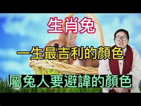 屬兔幸運顏色|屬兔的幸運色是什麼顏色？解密兔年運勢的色彩秘密